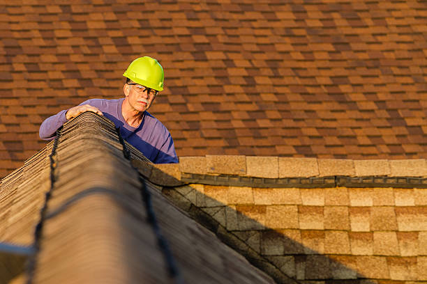 Best Best Roofing Contractors  in Amboy, IL